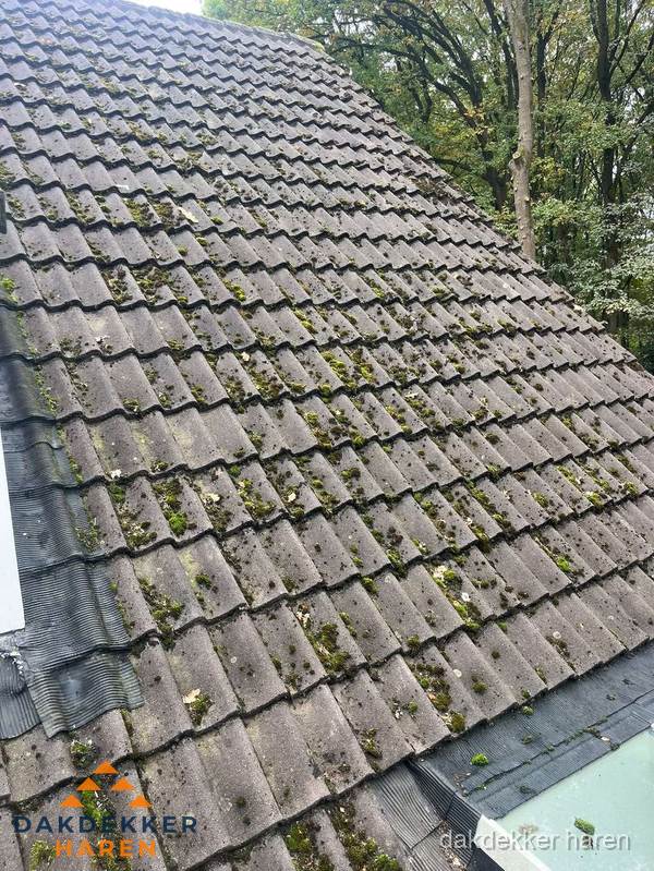 Verweerd pannendak met mosgroei dat renovatie nodig heeft in Haren