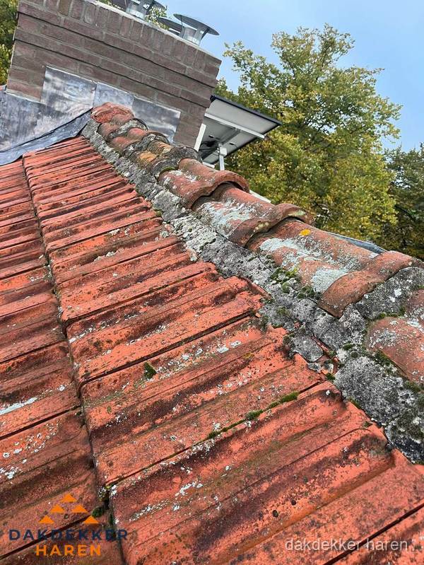 Verweerd hellend dak met mosgroei op nokvorst in Haren Verweerd hellend dak met mosgroei op nokvorst in Haren