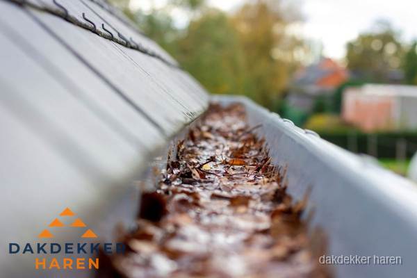 Verstopte dakgoot met bladeren schoonmaken in Haren Verstopte dakgoot met bladeren schoonmaken in Haren