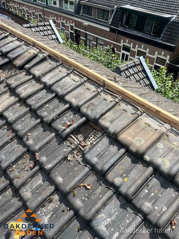 Dakonderhoud aan schuin pannendak met nokvernieuwing in Haren
